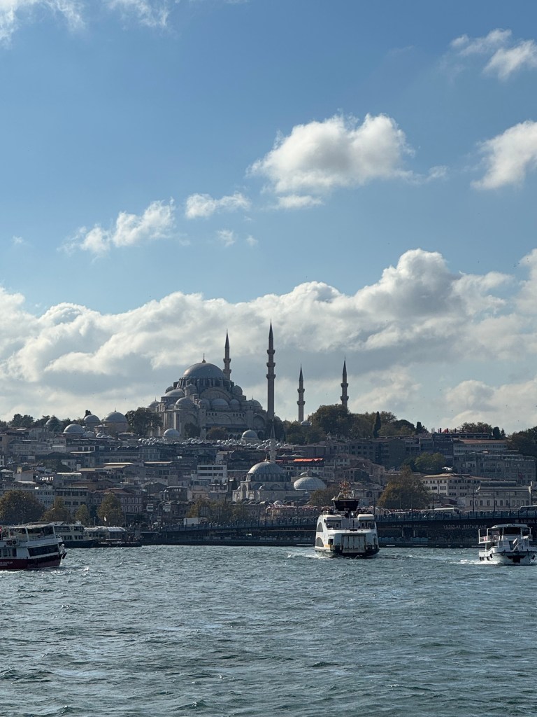 A view of the shoreline of the Bosphorus during the daytime