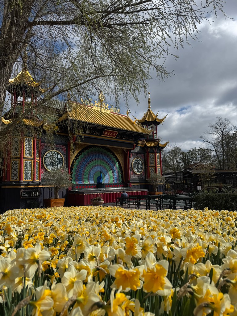 A Japanese-style stage in the background with a patch of daffodils in the foreground.