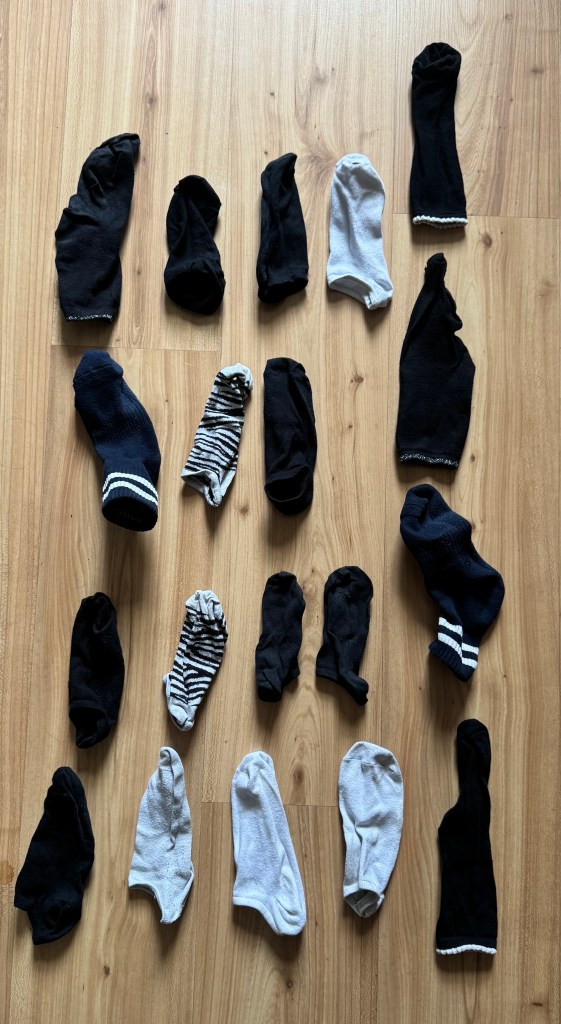 Lots of individual socks laid out on the floor
