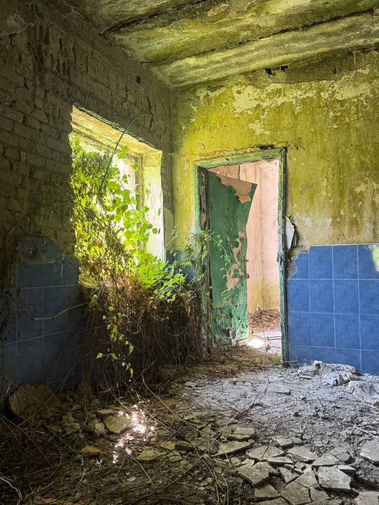 An abandoned room with peeling walls, broken tiles, and overgrown plants, illuminated by natural light coming through the windows.