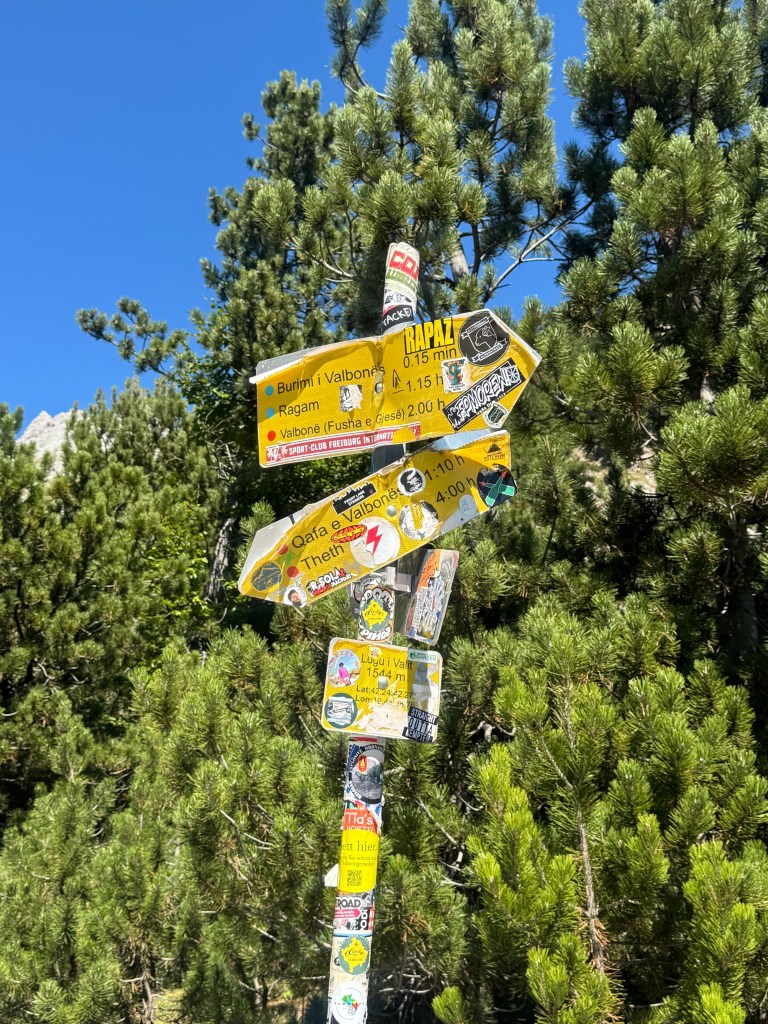 A hiking signpost with various trail directions and distances, surrounded by green pine trees under a clear blue sky.