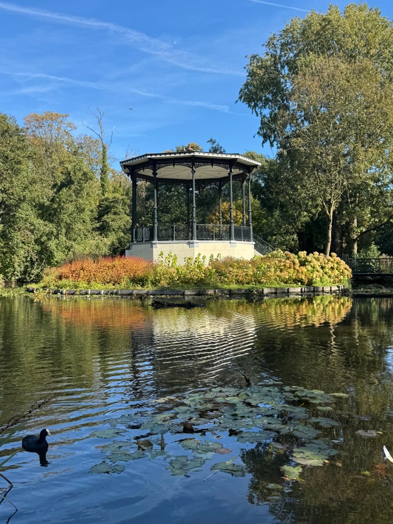 A scenic view of a gazebo surrounded by trees and a calm pond, with lily pads floating on the water's surface under a clear blue sky.
