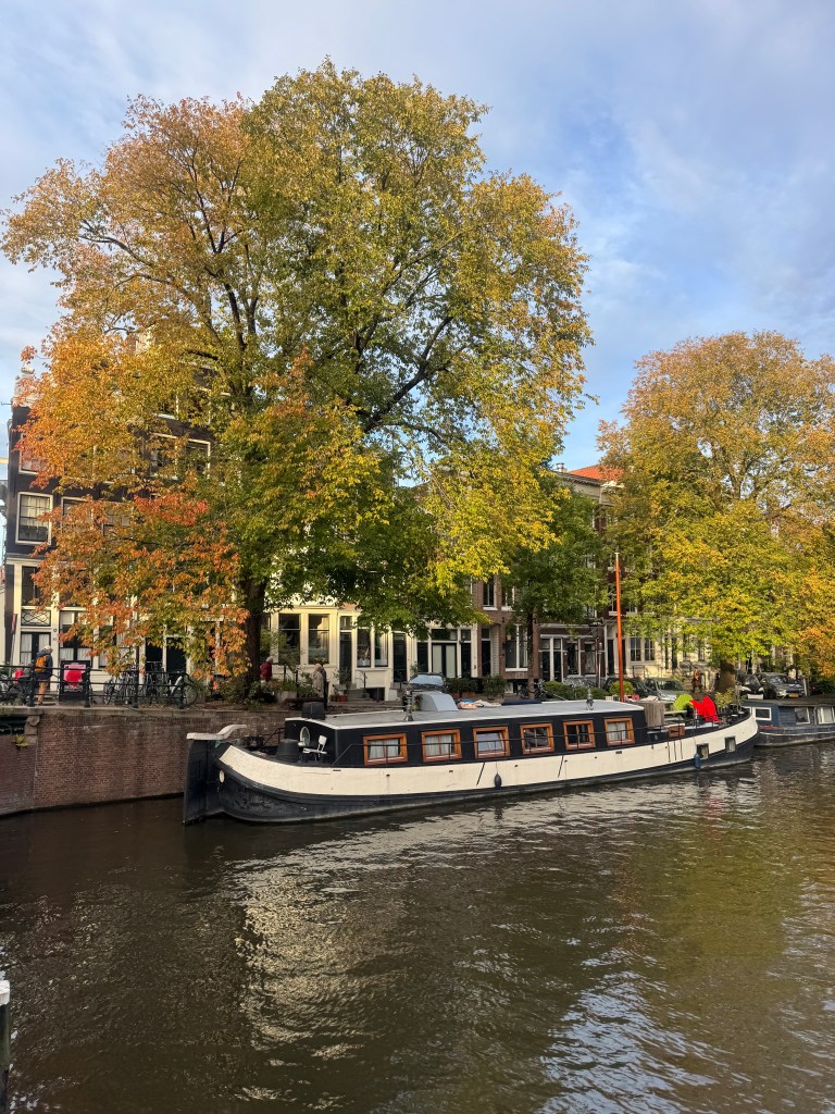 A view of a canal in Amsterdam surrounded by trees displaying autumn colors, with a boat docked along the bank and buildings in the background.