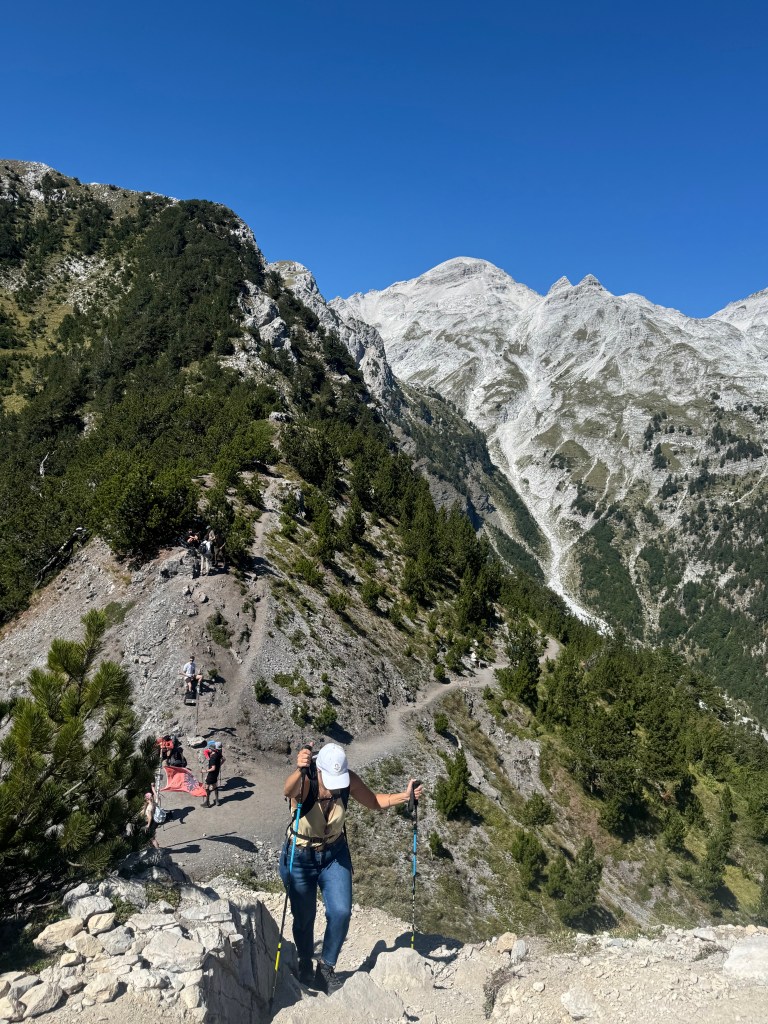 A hiker trekking on a rocky mountain trail surrounded by lush greenery and distant snow-capped peaks under a clear blue sky.