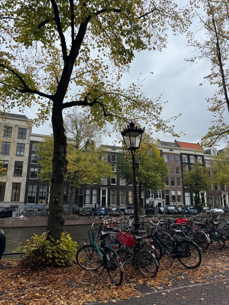 A view of a tree-lined street in Amsterdam during autumn, with bicycles parked along a canal and fallen leaves covering the ground.