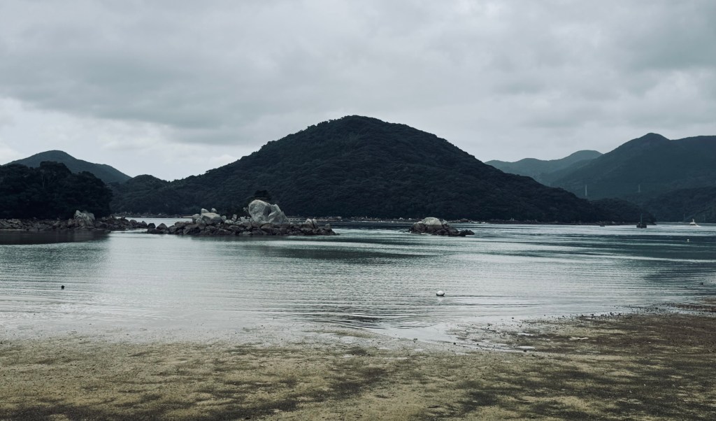 A serene view of a calm bay surrounded by green hills under a cloudy sky, with rocks protruding from the water.