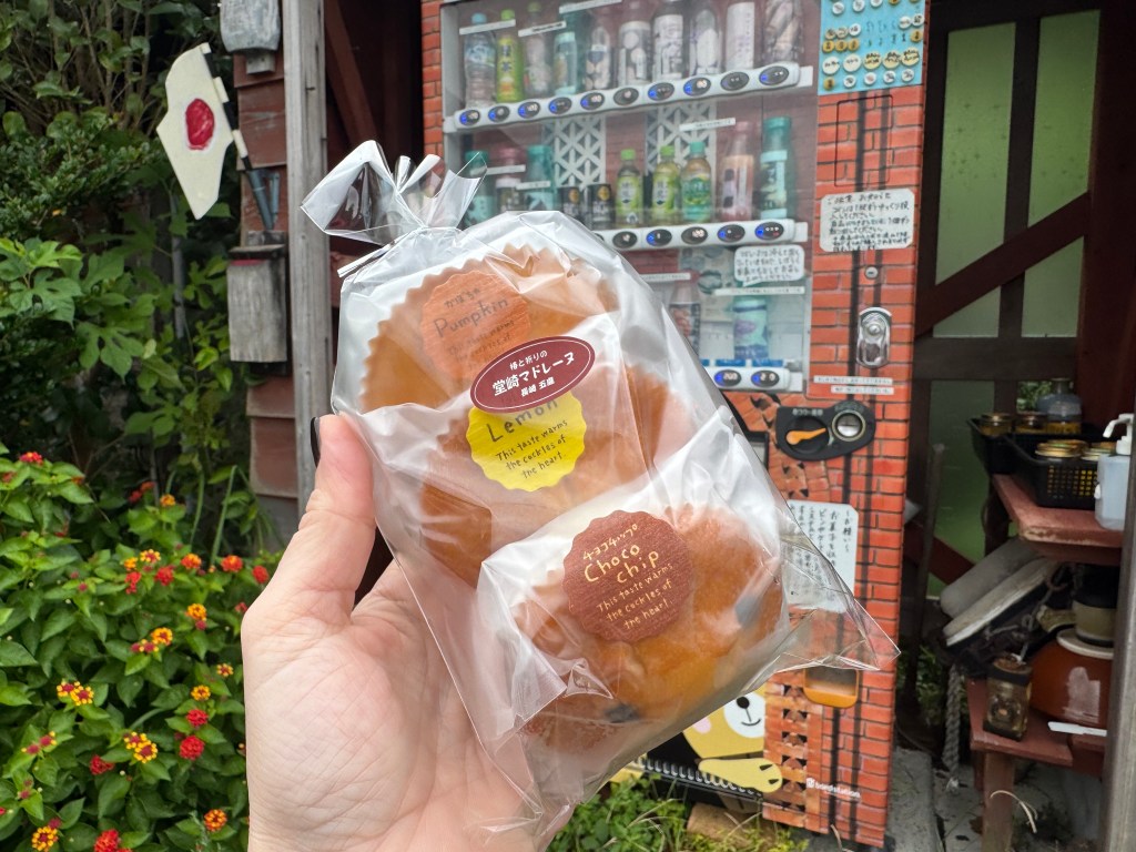 A person's hand holding a transparent wrapper containing three types of bread labeled as Pumpkin, Lemon, and Chocolate Chip, with a colorful vending machine and greenery in the background.