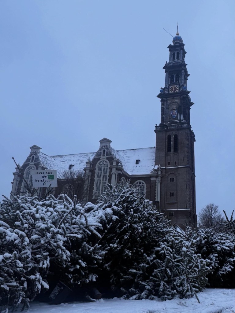 A snow-covered church with a tall clock tower surrounded by piled Christmas trees and a sign offering Christmas tree disposal.