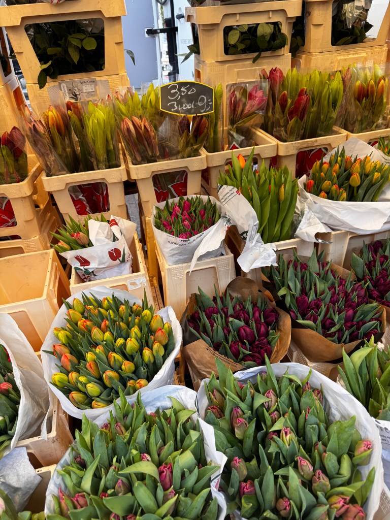 A colorful display of various tulip bouquets arranged in baskets at a market, featuring shades of red, pink, and yellow, with a price sign in the background.