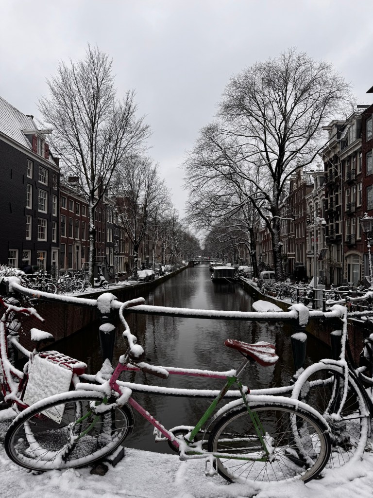 A snowy canal scene in a city, featuring bicycles covered in snow on a bridge, with trees lining the streets and buildings in the background.