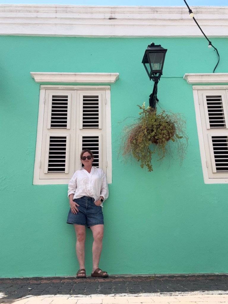 A person standing against a bright teal wall with white shutters and a hanging plant, wearing a white shirt and denim shorts.