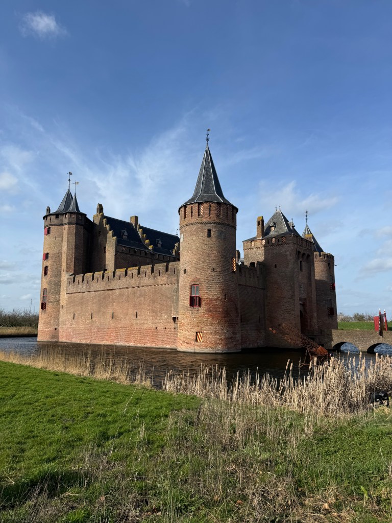 A historic brick castle with towers and a moat, surrounded by grass and reeds under a blue sky.