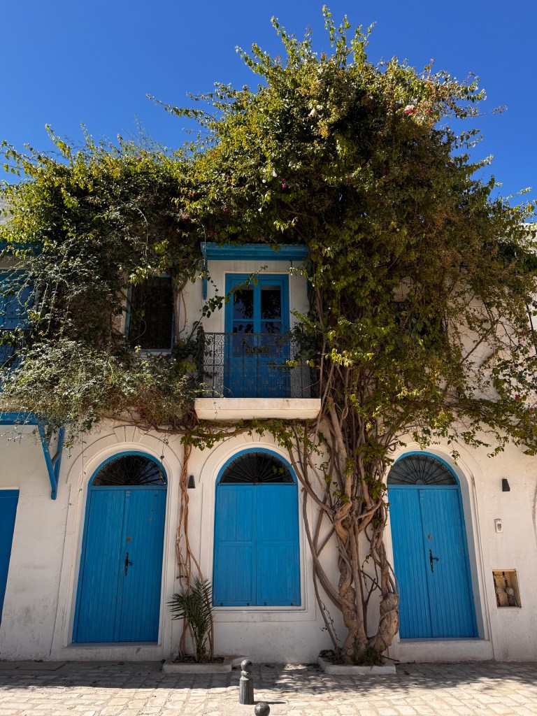 A charming white building with vibrant blue doors and a balcony, covered in greenery, under a clear blue sky.